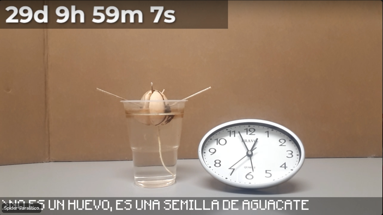 Captura de pantalla 2025-08-03 005910.png